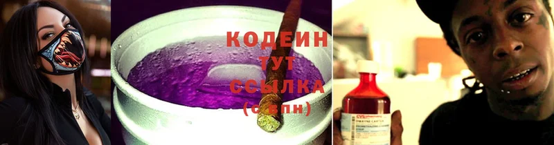 это наркотические препараты  Щёкино  Кодеиновый сироп Lean Purple Drank  дарнет шоп 